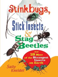 bokomslag Stink Bugs, Stick Insects, and Stag Beetles