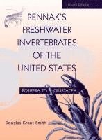 bokomslag Pennak's Freshwater Invertebrates of the United States