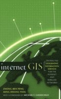 bokomslag Internet GIS