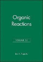 Organic Reactions V55 1