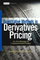 bokomslag Quantitative Methods in Derivatives Pricing