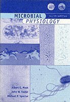 bokomslag Microbial Physiology