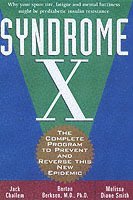 bokomslag Syndrome X