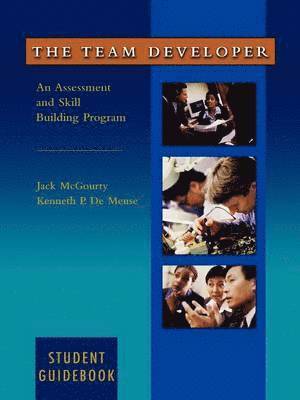 Team Developer 1