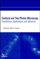 bokomslag Confocal and Two-Photon Microscopy