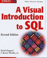 bokomslag A Visual Introduction to SQL