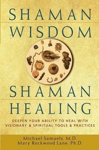 bokomslag Shaman Wisdom, Shaman Healing