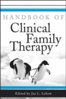 bokomslag Handbook of Clinical Family Therapy