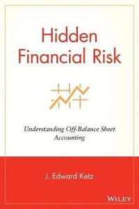 bokomslag Hidden Financial Risk