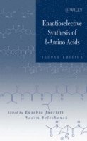 bokomslag Enantioselective Synthesis of Beta-Amino Acids