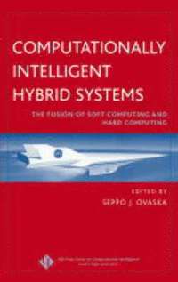 bokomslag Computationally Intelligent Hybrid Systems