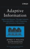 bokomslag Adaptive Information