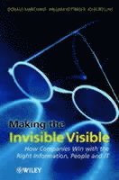 bokomslag Making the Invisible Visible