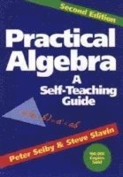 bokomslag Practical Algebra