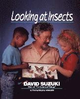 bokomslag Looking at Insects