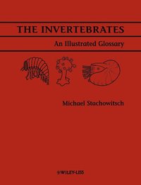 bokomslag The Invertebrates
