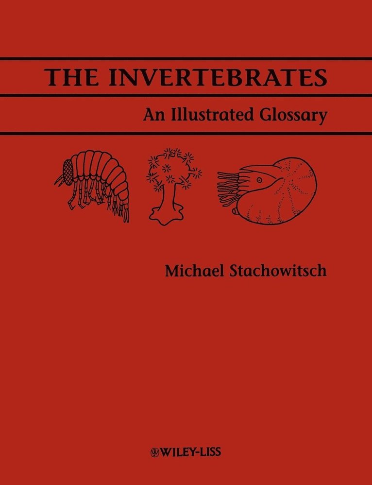 Invertebrates