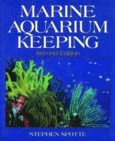 bokomslag Marine Aquarium Keeping
