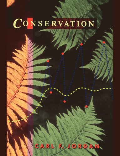 bokomslag Conservation