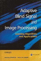 bokomslag Adaptive Blind Signal and Image Processing