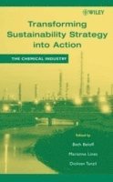 Transforming Sustainability Strategy into Action 1