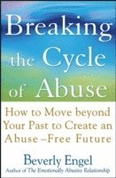 bokomslag Breaking the Cycle of Abuse