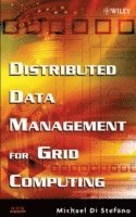 bokomslag Distributed Data Management for Grid Computing