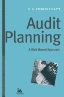 bokomslag Audit Planning