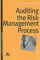 bokomslag Auditing the Risk Management Process