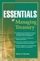 bokomslag Essentials of Managing Treasury