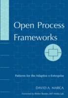 bokomslag Open Process Frameworks