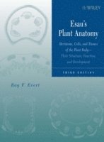 bokomslag Esau's Plant Anatomy
