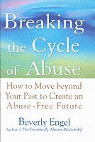 bokomslag Breaking the Cycle of Abuse