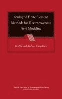 Multigrid Finite Element Methods for Electromagnetic Field Modeling 1