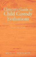 Clinician's Guide to Child Custody Evaluations, 3rd Edition