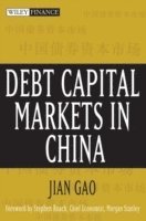 bokomslag Debt Capital Markets in China