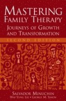 Salvador Minuchin, Wai-Yung Lee, George M. Simon - Mastering Family Therapy, Häftad