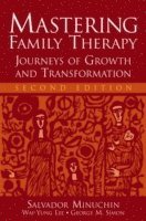 Mastering Family Therapy 1