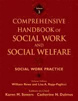 Lisa A. Rapp–Paglicci, William Rowe - Comprehensive Handbook of Social Work and Social Welfare, Social Work Practice, Inbunden