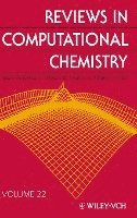 bokomslag Reviews in Computational Chemistry, Volume 22