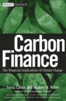 bokomslag Carbon Finance