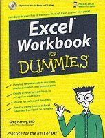 bokomslag Excel Workbook For Dummies