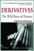 bokomslag Derivatives The Wild Beast of Finance
