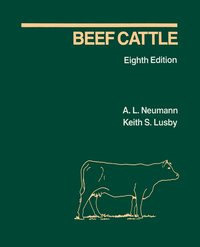bokomslag Beef Cattle
