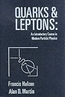 bokomslag Quarks and Leptones