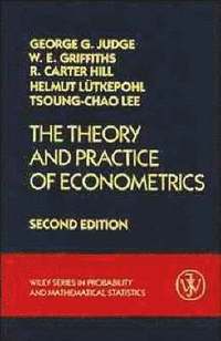 bokomslag The Theory and Practice of Econometrics
