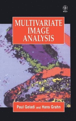 Paul Geladi, Hans Grahn - Multivariate Image Analysis, Inbunden