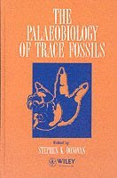 Stephen K. Donovan, Stephen K. Donovan - Palaeobiology of Trace Fossils, Inbunden
