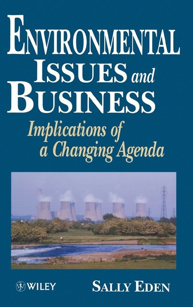 bokomslag Environmental Issues and Business