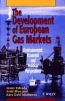 bokomslag The Development of European Gas Markets